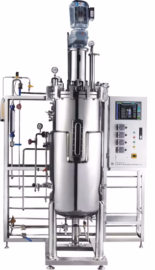 자동적인 스테인리스 효소 반응기 독립적인 살균 체계 장비 기계